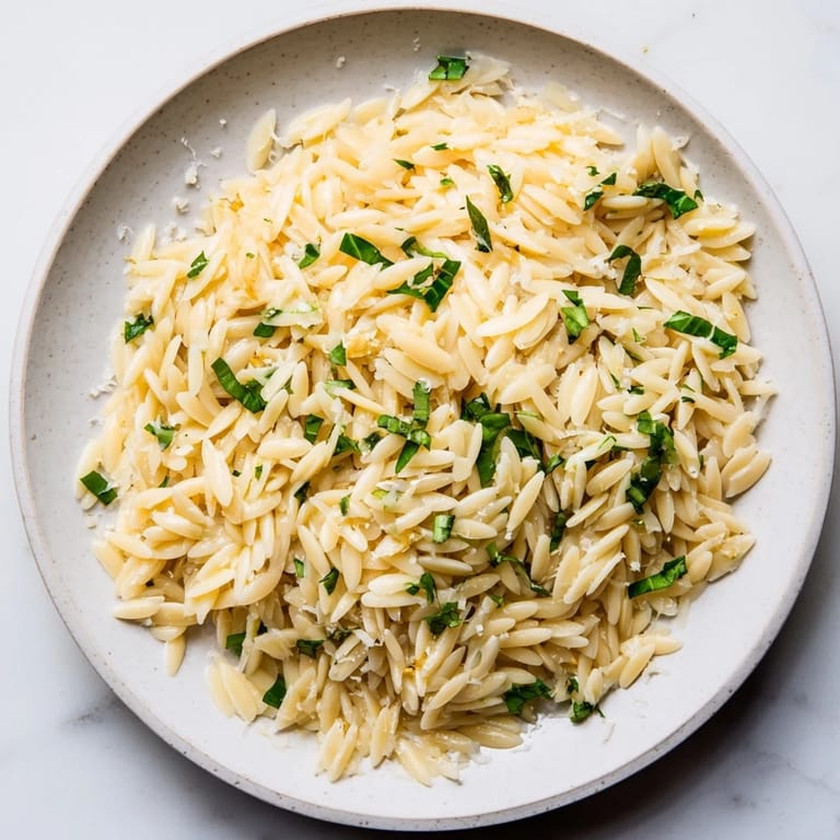 Freshly prepared orzo with lemon and herbs, topped with rich Parmesan cheese.  